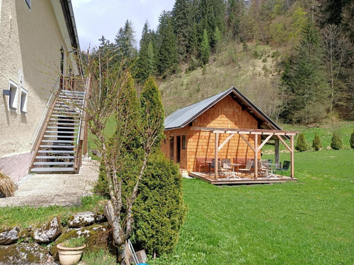 Appartements Bergheim Hirschbuhel Экстерьер фото